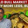 Gold Shines Brighter: Bubble Warning or Smart Investment? | Gold Price News Today