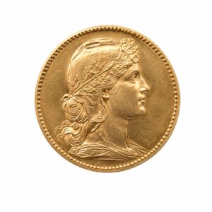 French 20 Franc Gold Coin
